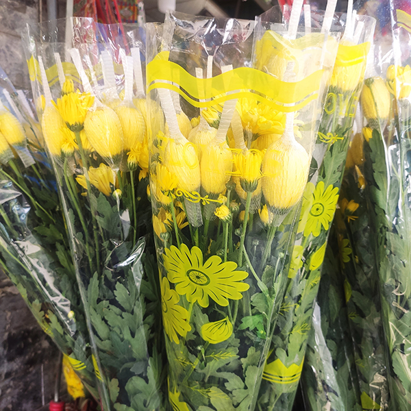 Hoa cúc lưới (vàng)